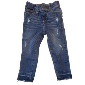 Toddler Girl Distressed Raw Hem Jeans